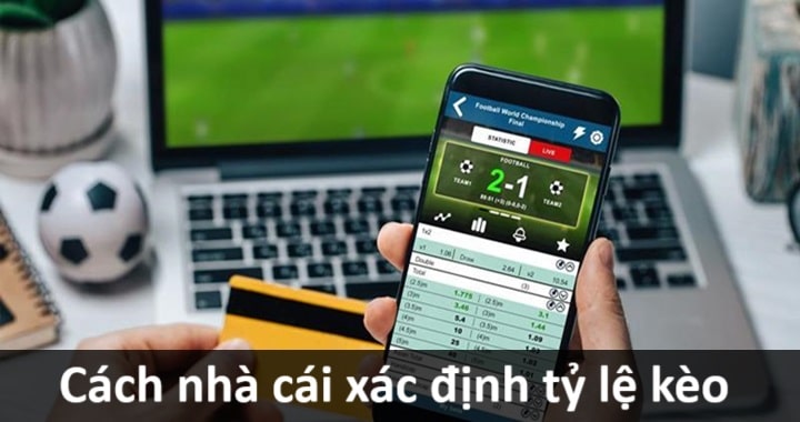 XO88 3 Cách nhà cái xác định tỷ lệ kèo bóng