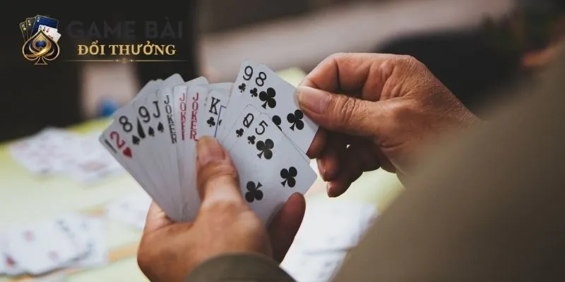 3 cách câu Phỏm không phải ai cũng biết